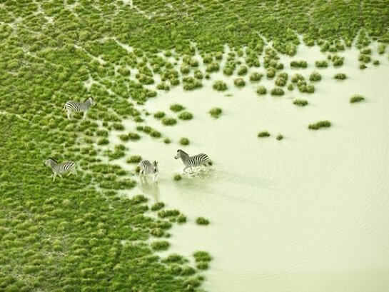 Zack Seckler, Botswana Bath 2009