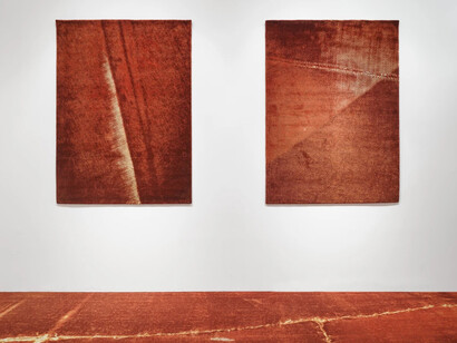 Marcos Chaves, Blue blood, exhibition view. Courtesy of Nara Roesler Gallery