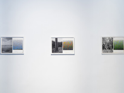 Stijn Cole, El tiempo suspendido, vista de exhibición. Cortesía de la Galería Hilario Galguera