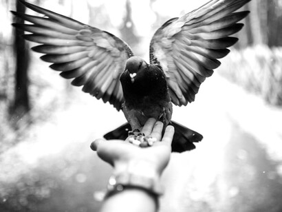 La educación actual prepara para la luz imposible pero no para las tinieblas y los tentáculos que nos tientan