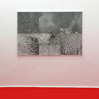 Frida Orupabo
Untitled, 2018
framed pigment prints on acid free semigloss cottonpaper
116 x 174 x 6 cm
Ed 1/3 + 1 AP 
Courtesy KOENIG2 by_ robbygreif, Vienna and the artist 
© Photo: Philipp Friedrich
