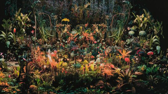 Mary Mattingly, Magnetic field (detail), 2023. Courtesy of MFA