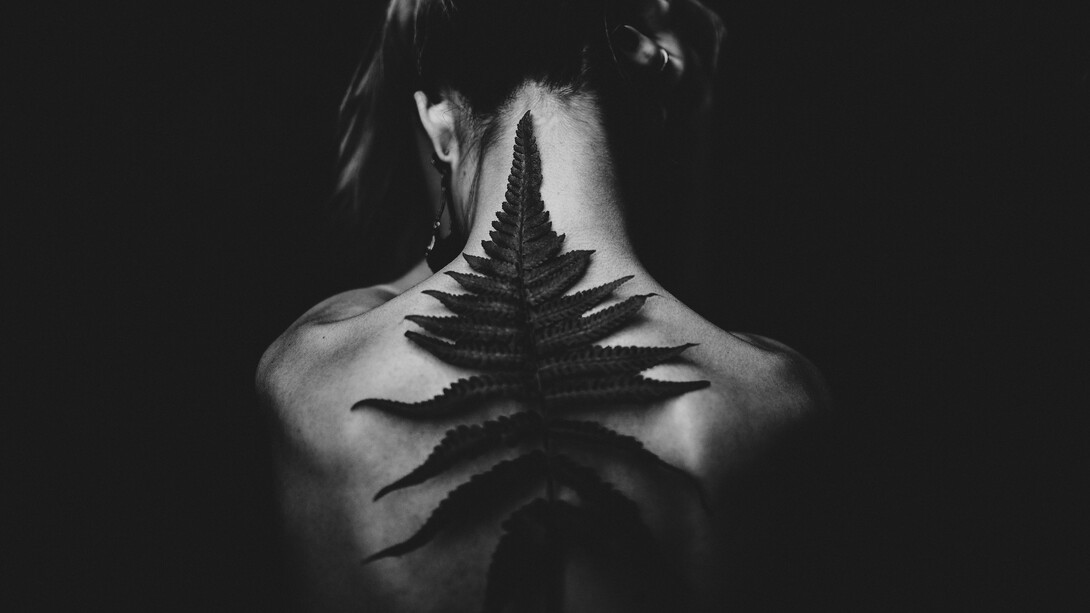 Costas de uma pessoa humana em estado de transição para uma nova natureza