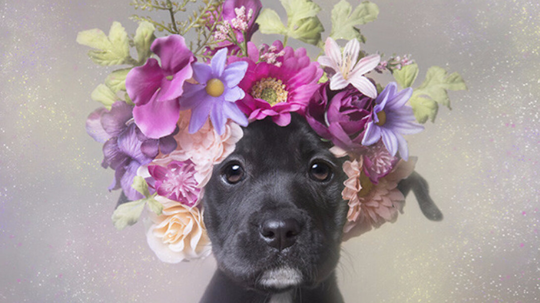 Flower Power. Courtesy of Russell Collection