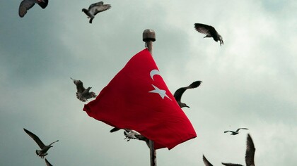 Le drapeau agitant de la Tunisie entouré d'oiseaux en vol