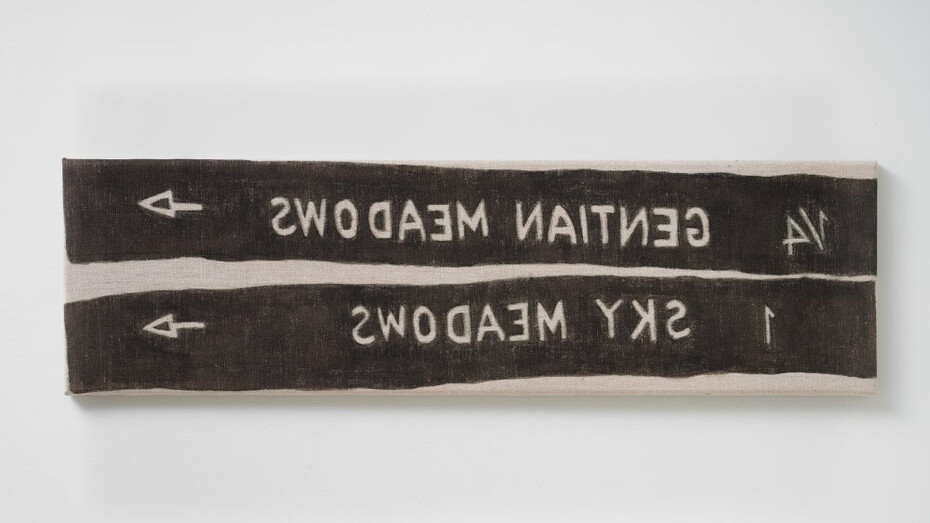 Hendl Helen Mirra, not gentian meadows, 2021. Courtesy of Galerie Nordenhake