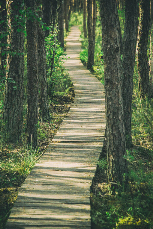 Explorar la Comunicación No Violenta puede abrir caminos profundos de sanación personal y relacional