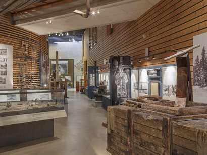 The old logging site. Courtesy of Lusto