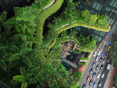 Lucas Foglia. Human Nature. Courtesy of Michael Hoppen Gallery