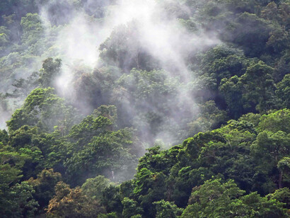 Dentro del intercambio constante de agua entre los océanos, los continentes y la atmósfera, la evaporación es el mecanismo por el cual el agua es devuelta a la atmósfera en forma de vapor