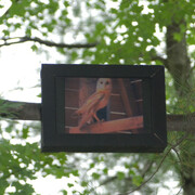 Nina Katchadourian. Courtesy of Aspen Art Museum