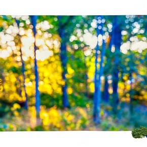  Lucia Engstrom, Home: Blue/Yellow, 2023. Hand Embroidered with Organic Wool, Silk, and Mohair; Cotton Rag Paper, 25.62 x 44.62 inches (65.1 x 113.3 cm), Edition of 3 + 1AP, each unique. Courtesy of the artist and Von Lintel Gallery