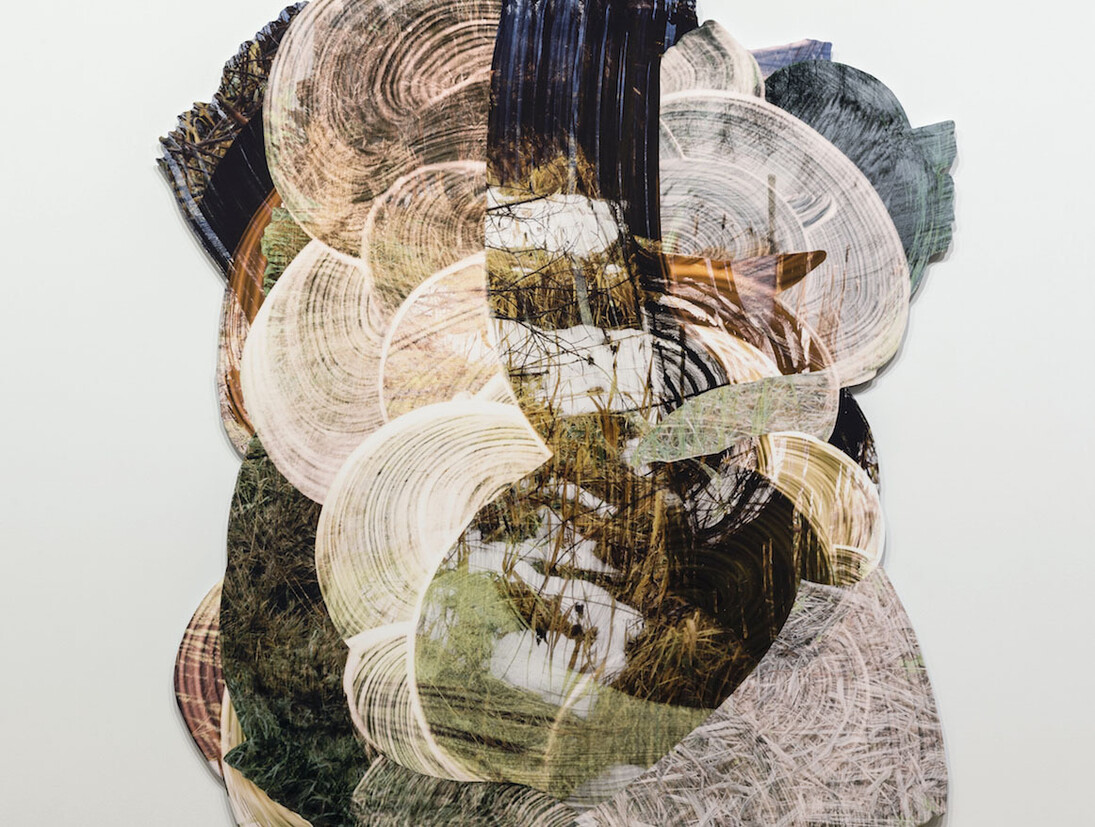 Wil Murray, Exhibition view. Courtesy of Vitrine