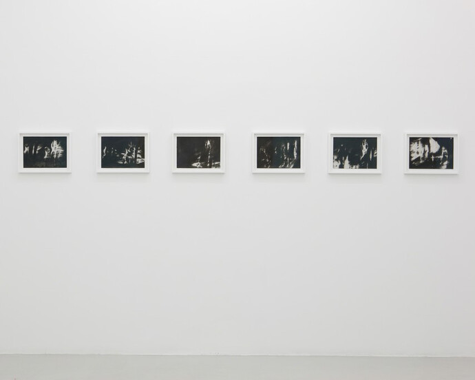 Raha Raissnia. Courtesy of Marta Cervera Gallery