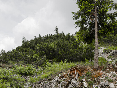 Federico Donato, Cento #3, dettaglio, 2014, fotografia digitale su carta cotone, 59,4 x 42 cm