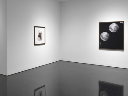 Old Fruit. Courtesy of Gagosian Gallery