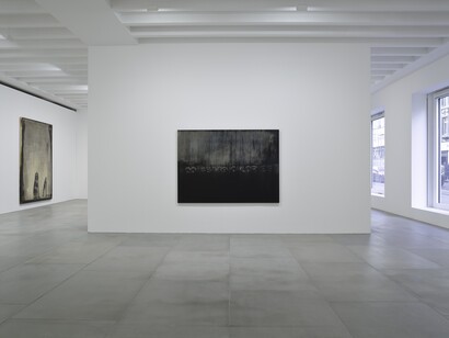 Michael Joo, Radiohalo installation view, 2016, Courtesy the artist and BlainSouthern