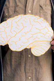 Brain development isn’t just about growth: it’s about refining connections based on experience