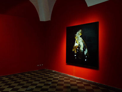 Installation view, Mat Collishaw, 1/9unosunove, Photo: Valerio Iacobini, Courtesy 1/9unosunove”