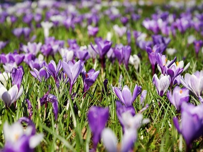 I colori della Primavera
