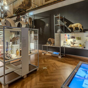 Good collecting, bad collecting, exhibition view. Courtesy of Naturhistorisches Museum Wien