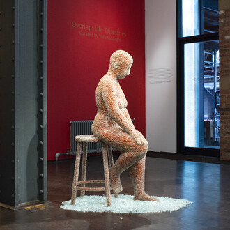 Arlene Rush. Photo courtesy of Eliza Birdie Piccininni  and Pen + Brush Gallery