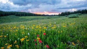 Il contatto diretto con la natura riduce l'esposizione a stimoli artificiali e favorisce una percezione più essenziale della realtà