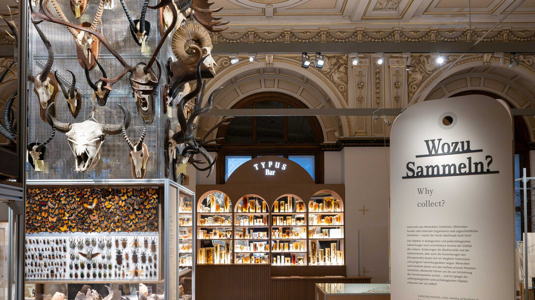 Gutes sammeln, böses sammeln, ausstellungsansicht. Mit freundlicher genehmigung des Naturhistorischen Museums Wien