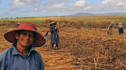 Pablo Bartholomew. Agricultores indianos