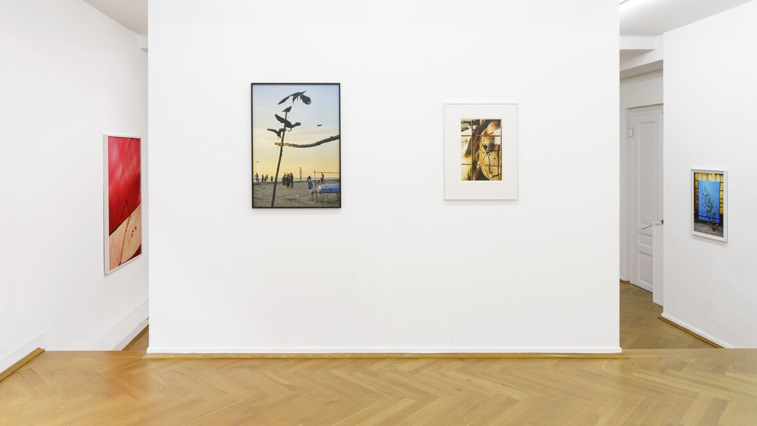Flo Maak. Collected Stories, installation view. Courtesy of Bernhard Knaus Fine Art