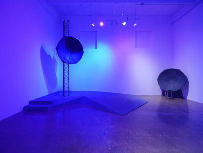 Michael Webster, Drawn breath, exhaled frequencies, exhibition view. Courtesy of Locust Projects 