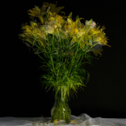 Davide Coltro, Nature morte