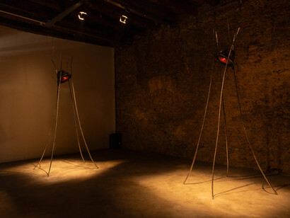 Vivian Caccuri, Nocetra, exhibition view. Courtesy of A Gentil Carioca Gallery