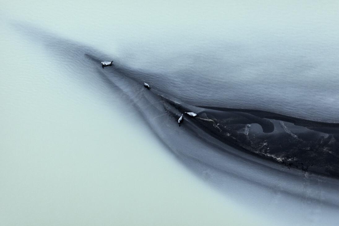 Ripple, 2015 Archival Pigment Print 