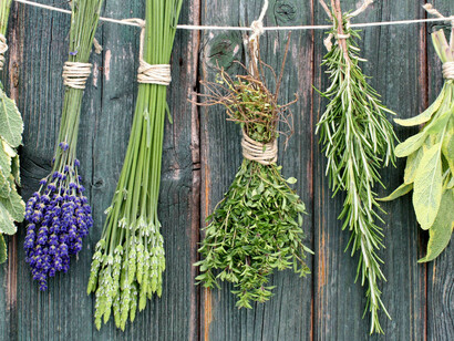 Una scelta di piante aromatiche