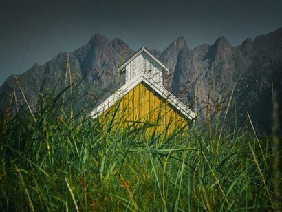 De la noche a la mañana, el césped se torna verde y vigoroso y no para de crecer