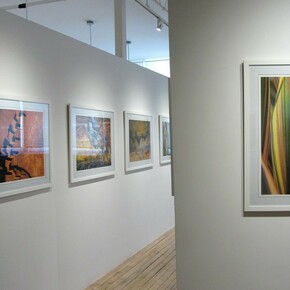 Sight Lines, Exhibition view. Courtesy of Carter Burden Gallery