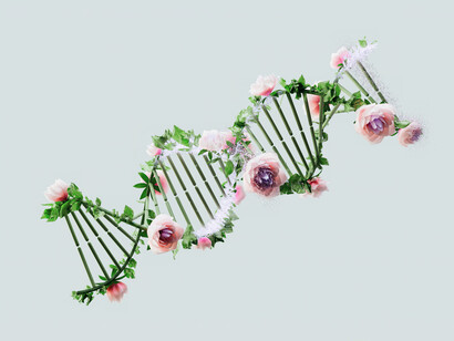 El objetivo de la biología es mantenernos vivos y resistir hasta el final