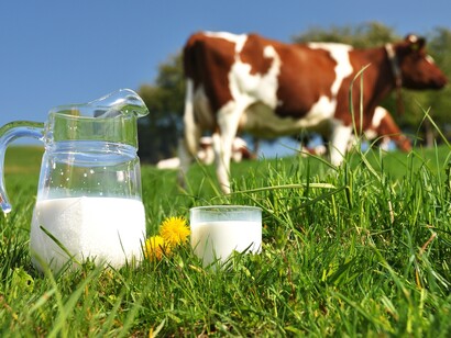 Leche de vaca