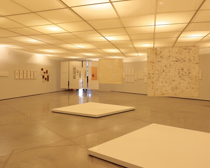 Sinais/Signals Mira Schendel. Courtesy of MAM