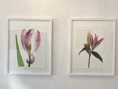 Various artists, Natural beauty, exhibition view. Courtesy of Elisa Contemporary Art