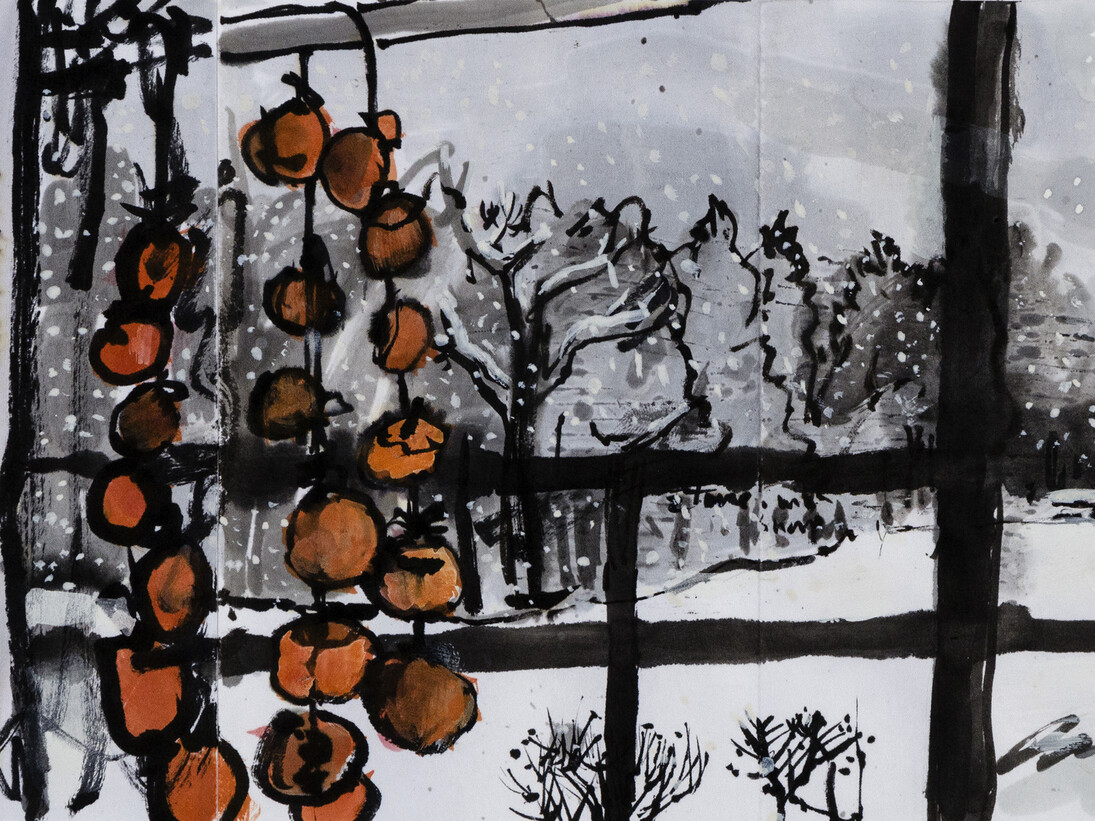 Kate Downie, Persimmons in the Snow, ink & gouache on paper, 16 x 29 cm