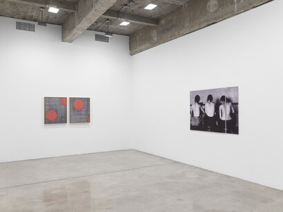 Lisa Oppenheim, Installation view of A Durable Web., Tanya Bonakdar Gallery, New York, September 7 – October 21, 2017.
Photo: Maris Hutchinson. Courtesy of the artist and Tanya Bonakdar Gallery, New York