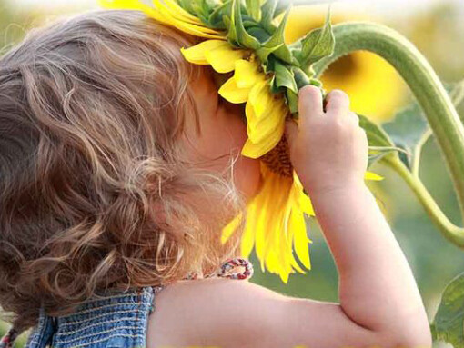 Dov'è finito Gherardino?