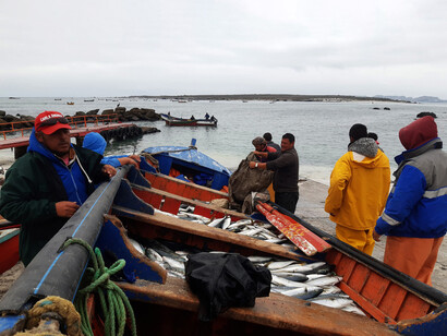 Pescadores artesanales de Punta de Choros en la Región de Coquimbo, Chile