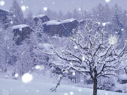 Per i Gemelli un Natale da sogno 