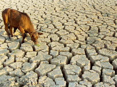Desertificación