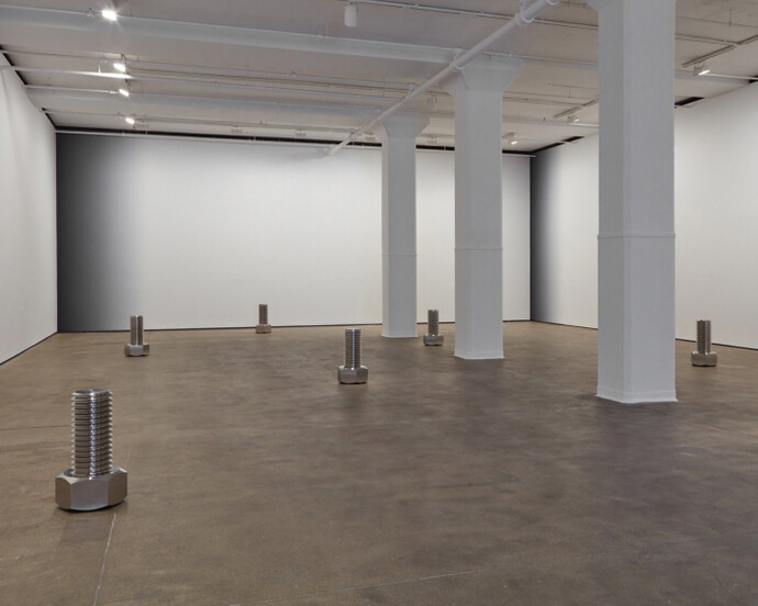 Iran do Espírito Santo, Exhibition view. Courtesy of Sean Kelly