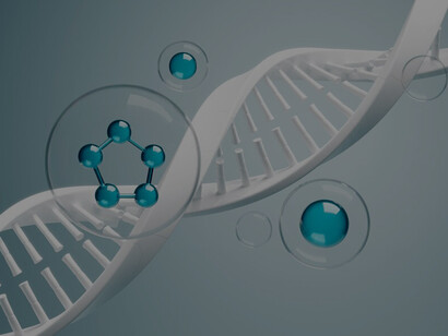 DNA concept: cells consistently maintain structure since birth