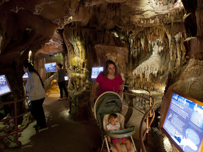 Waterways & Wildlife. Courtesy of Florida Museum of Natural History